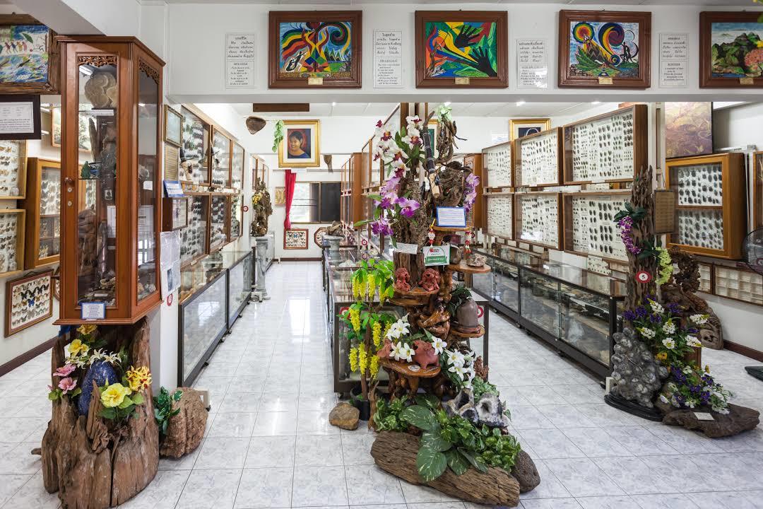 Museo de Insectos y Maravillas Naturales
